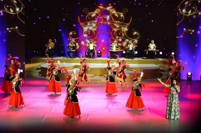 丝路弦音奏共鸣 陕西与中亚国家文艺交流会演精彩上演